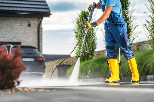 Best Solar Panel Cleaning  in New Port Richey East, FL